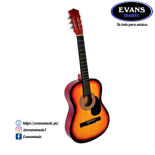 Guitarra Don Francisco Color Sambar