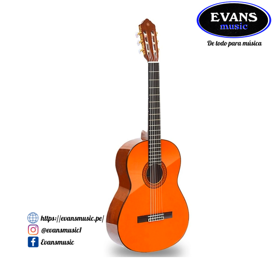 Guitarra Yamaha C40